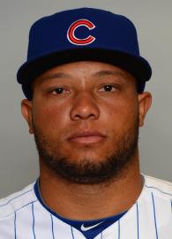 Photo of Welington Castillo