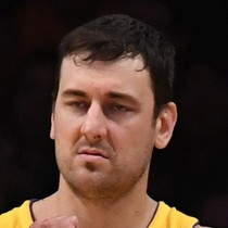 Andrew Bogut