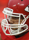 Peyton Hillis - profile photo