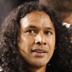 Troy Polamalu