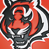 Cincinnati Bengals