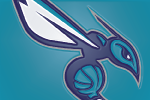 Charlotte Hornets