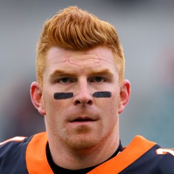 Image result for andy dalton