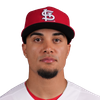 Bryan Torres